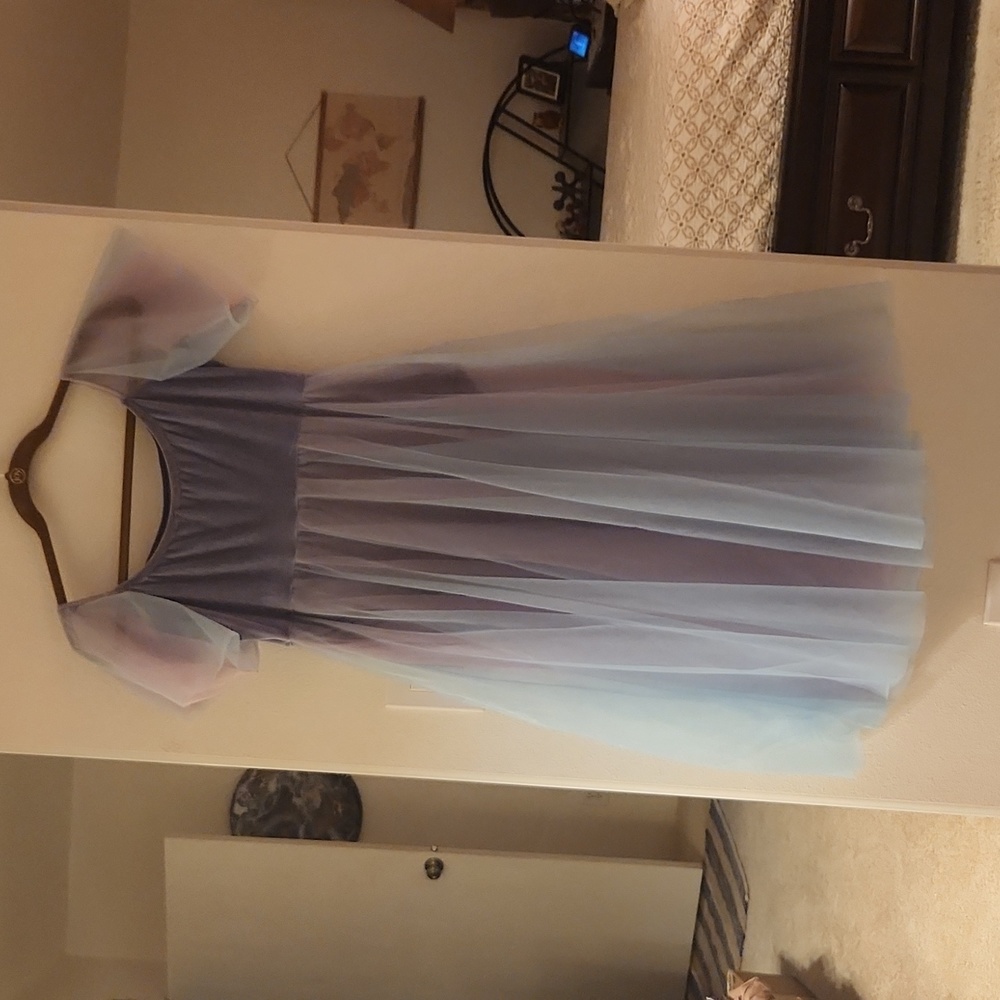 Princess / Fairy costume